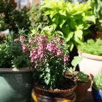 The Influence of Branded Plant Containers on Consumer Choices