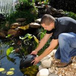 A Comprehensive Guide to Crystal Pond Filter Installation for Clean Water