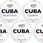Discover pocket-sized nicotine pouches, comfort for everyday use