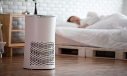 Reasons To Consider Air Purification For Allergy Relief