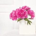 Carnation Bouquet in Singapore: What Each Colour Symbolises